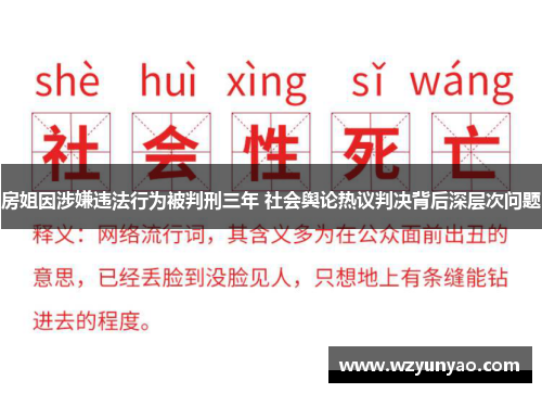 房姐因涉嫌违法行为被判刑三年 社会舆论热议判决背后深层次问题