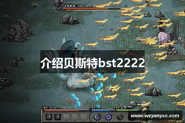 介绍贝斯特bst2222